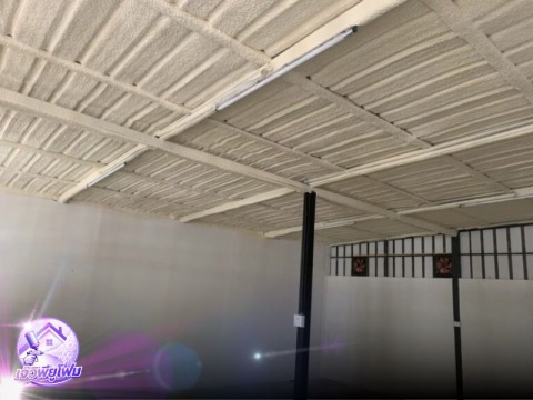 เจ๊วิพียูโฟม (24)